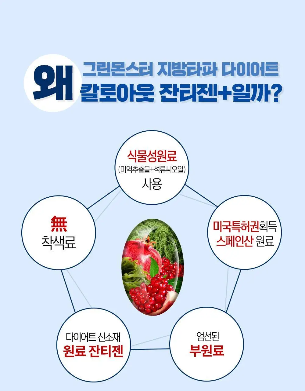 [하루 한알 다이어트] 그린몬스터 지방타파 칼로아웃 잔티젠+ 14캡슐 (2주분) 상세페이지 7